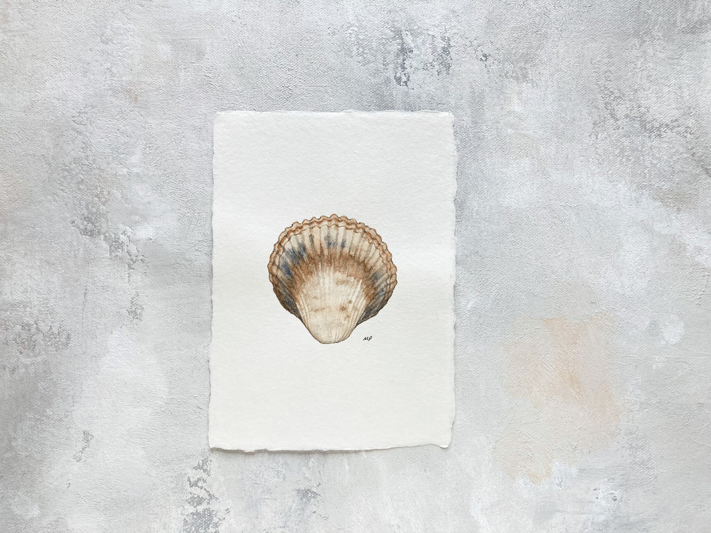 5x7 original watercolor of single tan, rust, and blue seashell, on handmade deckled edge paper